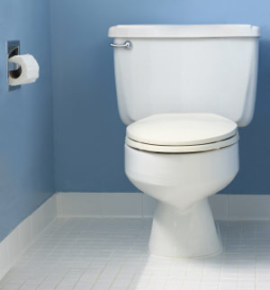 Sunnyvale, CA Plumbers Can Repair Your Toilet Quickly